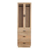 Allan Mango Wood Glass 2 Door Wardrobe