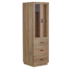 Allan Mango Wood Glass 2 Door Wardrobe