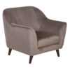 Antalya 1 Seater Sofa With Cosmos Smoke Velvet