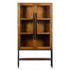 Chicago Mango Wood Glass 2 Door Metal Stand Cabinet