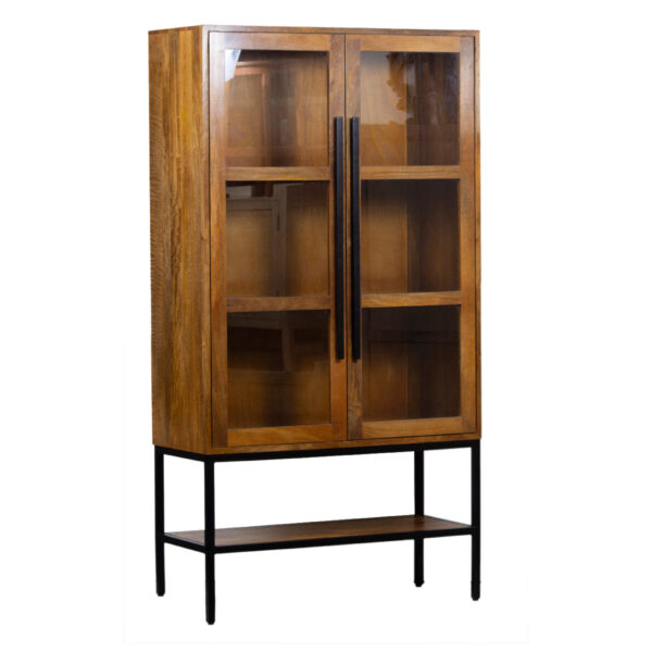 Chicago Mango Wood Glass 2 Door Metal Stand Cabinet