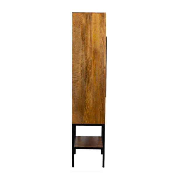 Chicago Mango Wood Glass 2 Door Metal Stand Cabinet