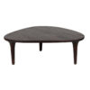 Delargo Mango Wood Coffee Table