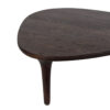 Delargo Mango Wood Coffee Table