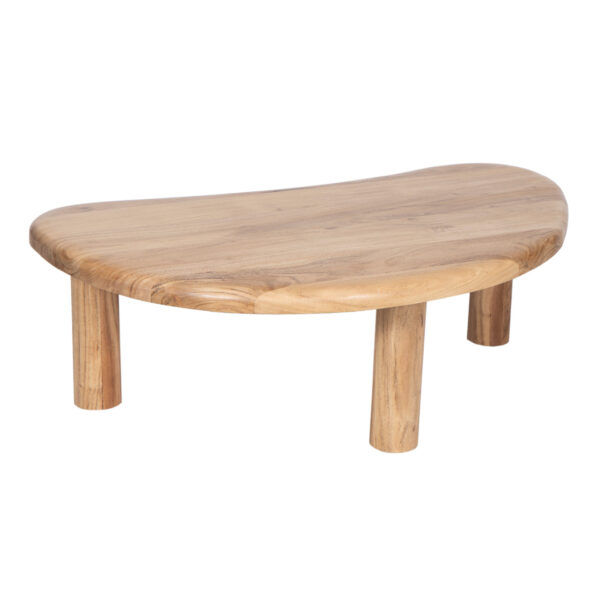 Delphine Acacia Wood Organic Coffee Table