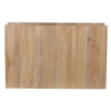 Fens Rectangular Mango Wood Coffee Table