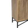 Jacob Mango Wood 2 Door Cabinet Large