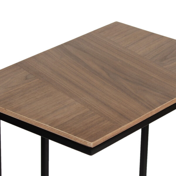 Robias Walnut Veneer Metal Side Table